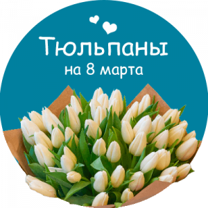 Купить тюльпаны в Зубцове